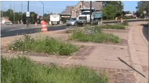 Newshawks-Stadium-Washtenaw-weeds.png